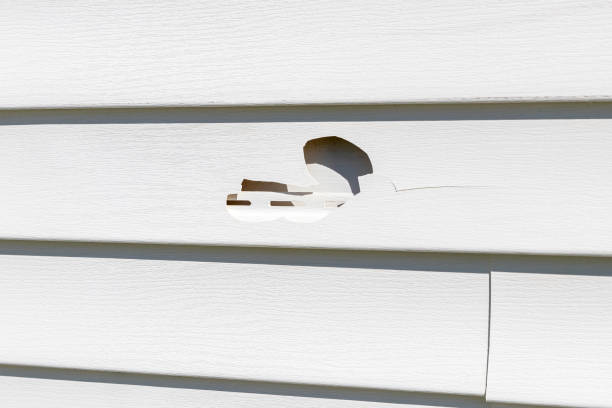 Best Siding Removal and Disposal  in Forest Lake, IL