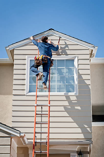 Best Vinyl Siding Installation  in Forest Lake, IL